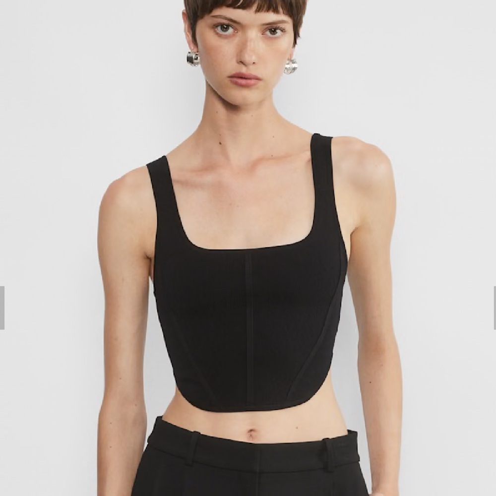 Aritzia Babaton Sculpt Knit Top